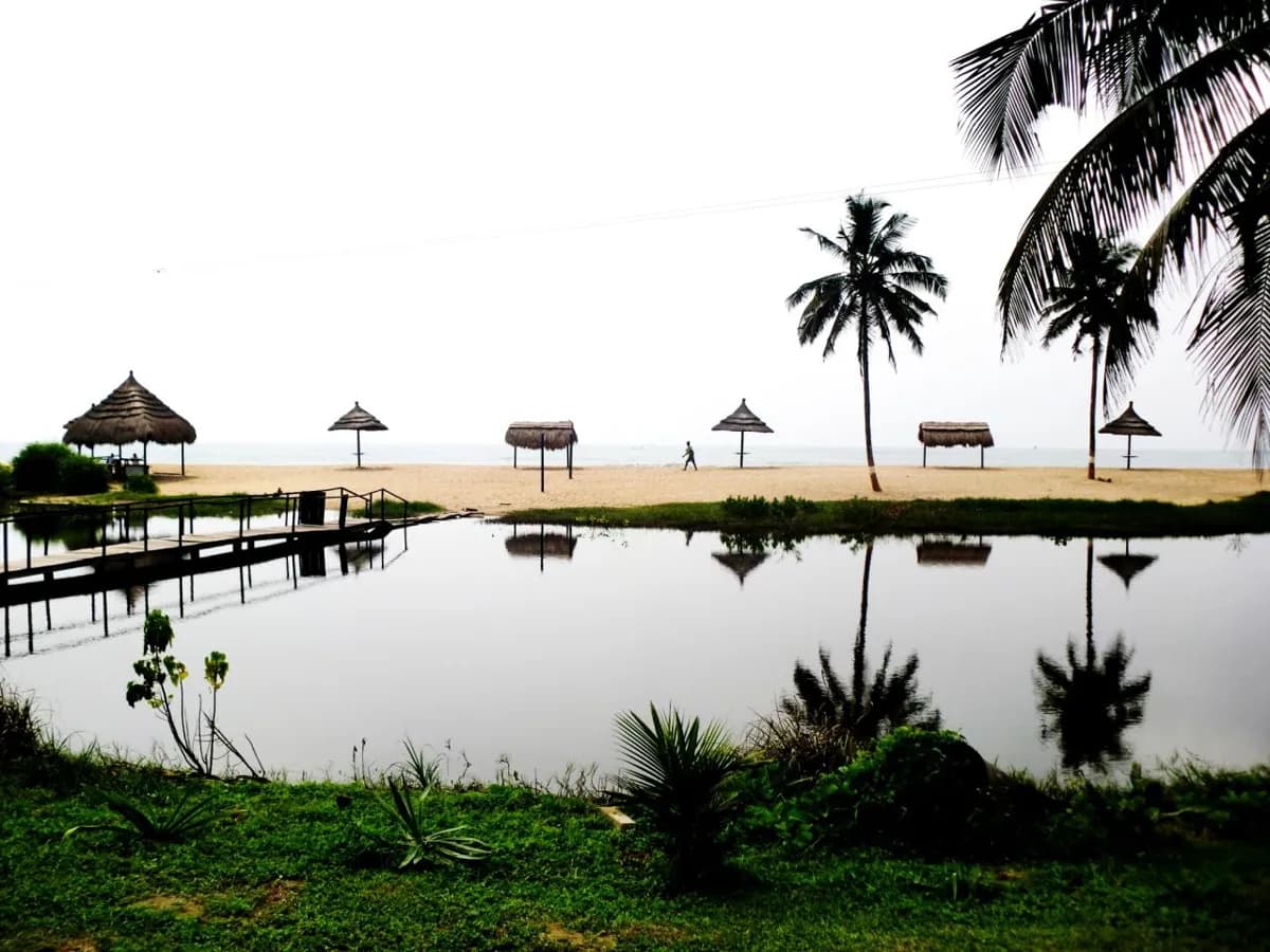Palm trees along Busua Beach on Ghana’s Western coast